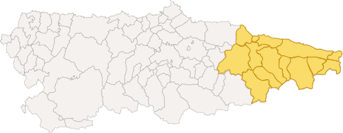 Mapa de Asturias dividido en Municipios