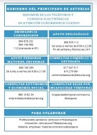 No disponemos de imagen