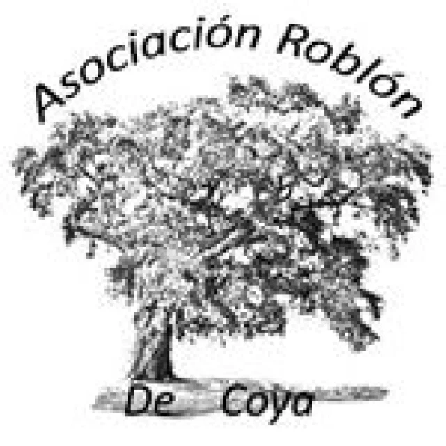 No disponemos de imagen