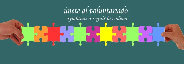 No disponemos de imagen