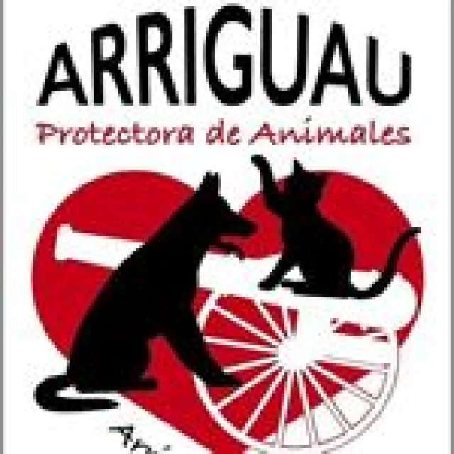 No disponemos de imagen