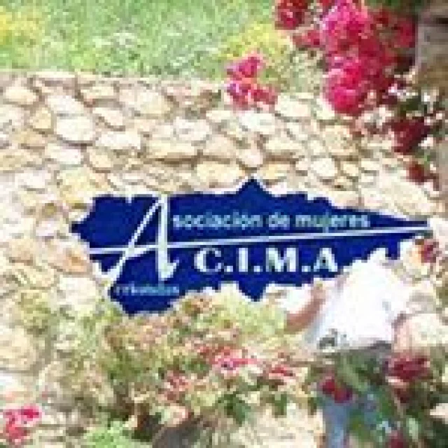 No disponemos de imagen